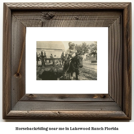 horseback riding near me in Lakewood Ranch, Florida